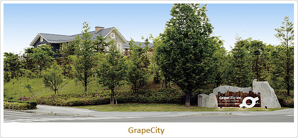 GrapeCity Photo